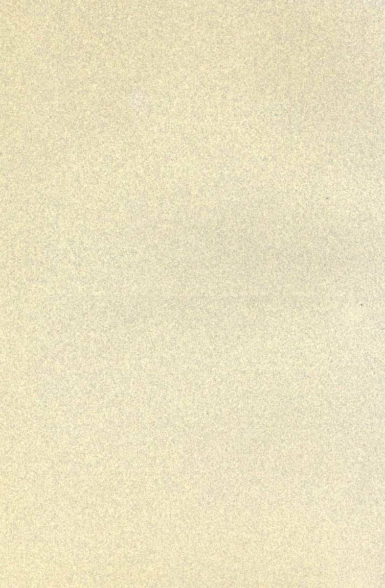 Can Chi Thông Luận - 350