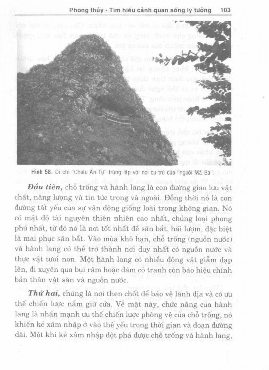 Phong Thủy Cảnh Quan - 104