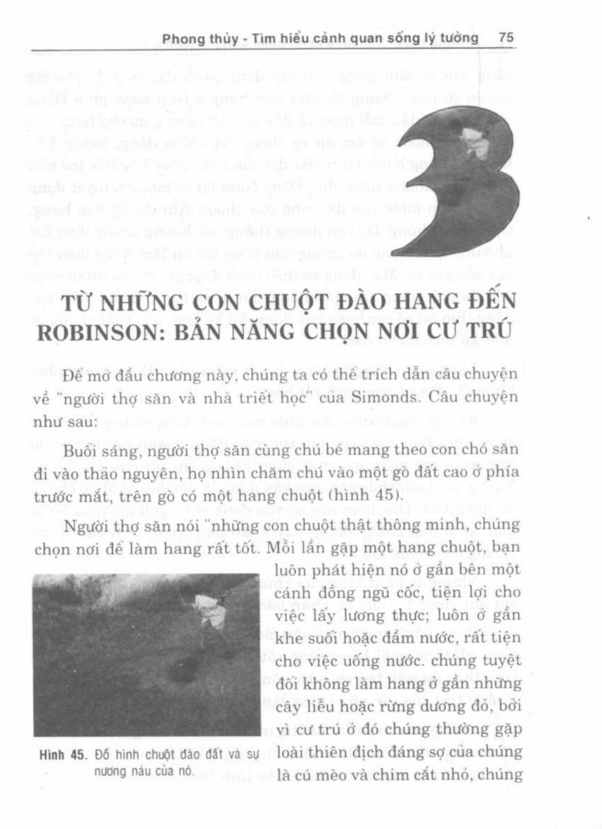 Phong Thủy Cảnh Quan - 76