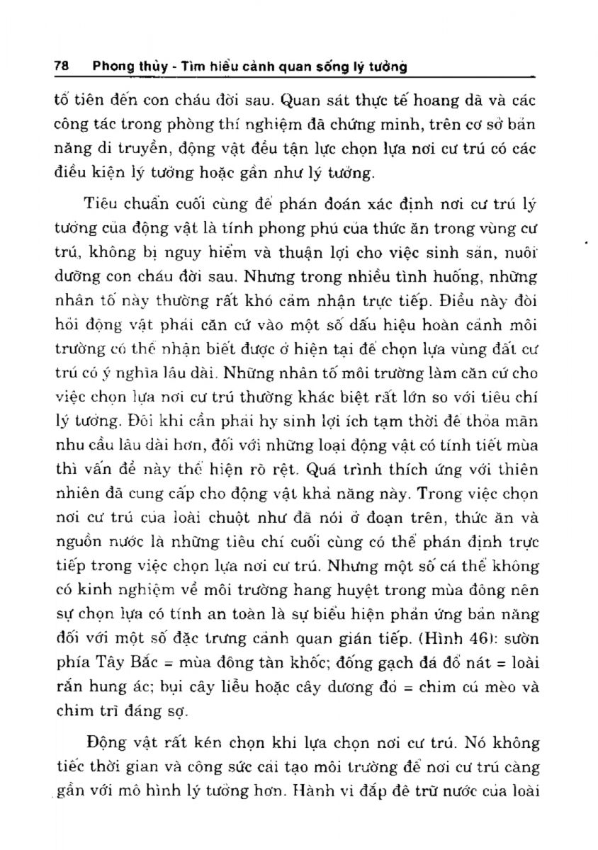 Phong Thủy Cảnh Quan - 79