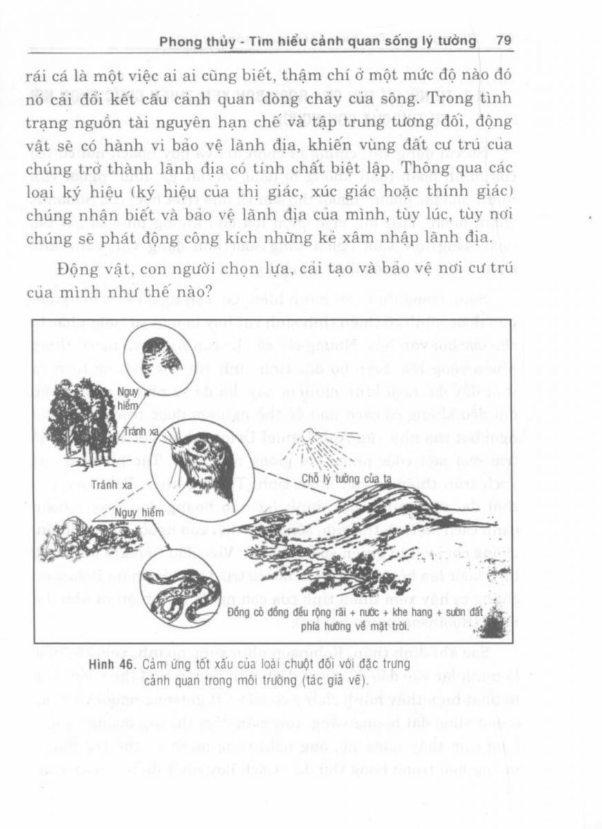 Phong Thủy Cảnh Quan - 80