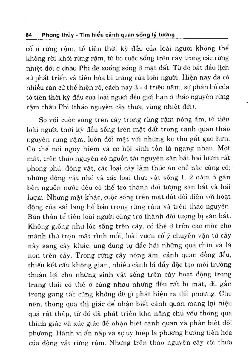 Phong Thủy Cảnh Quan - 85
