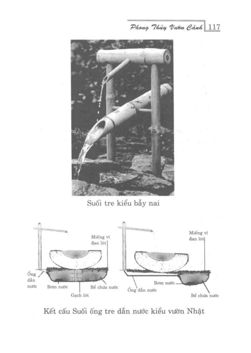 Phong Thủy Vườn Cảnh - 149
