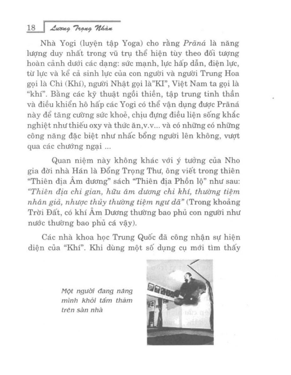 Phong Thủy Vườn Cảnh - 17