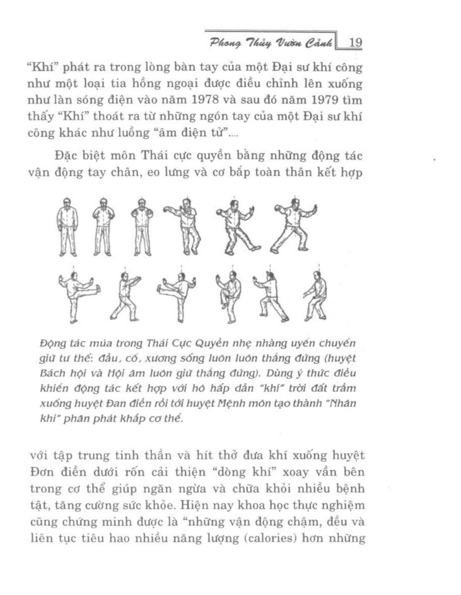 Phong Thủy Vườn Cảnh - 18