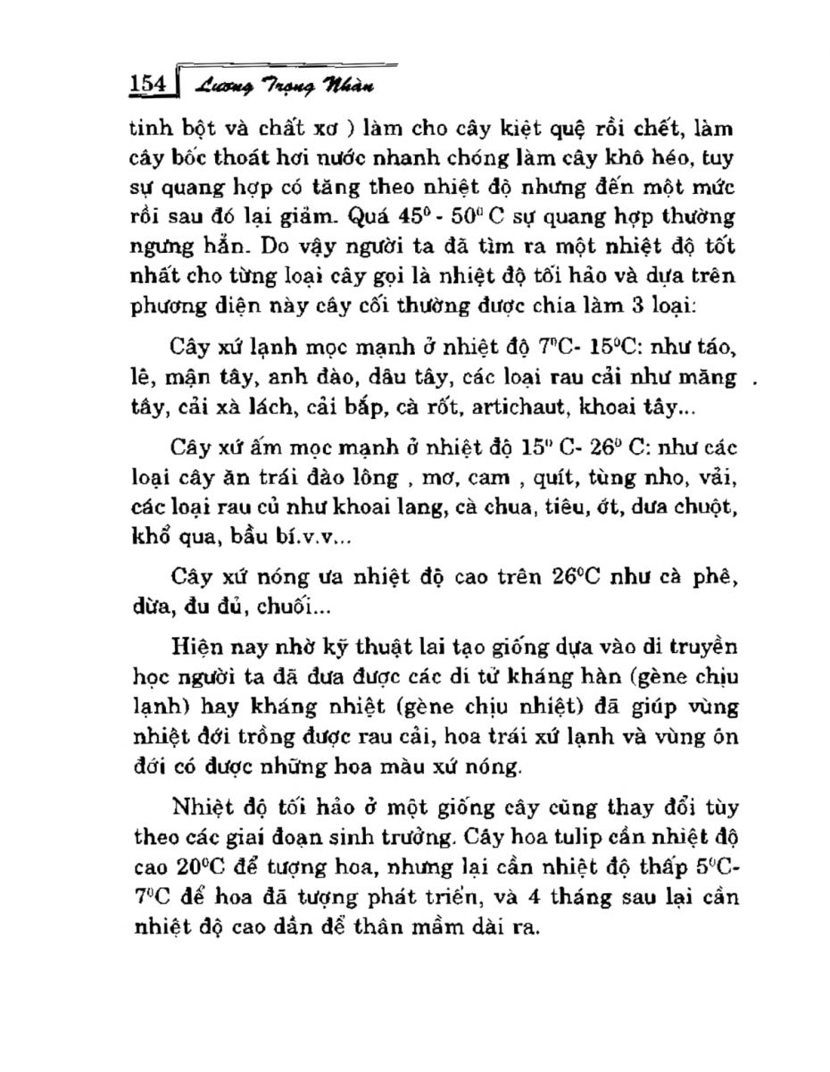 Phong Thủy Vườn Cảnh - 186