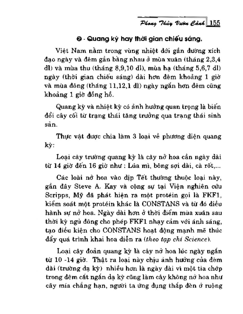 Phong Thủy Vườn Cảnh - 187