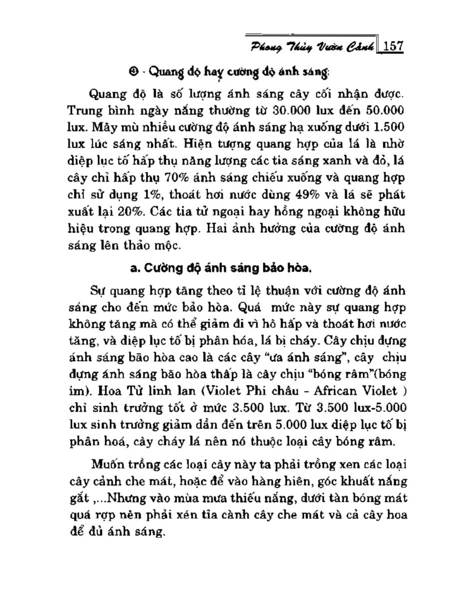 Phong Thủy Vườn Cảnh - 189