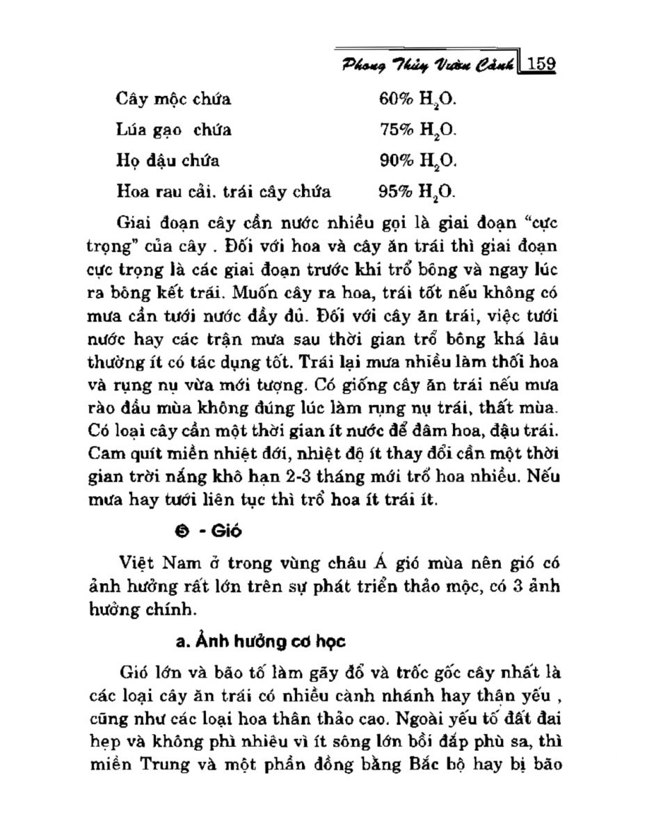 Phong Thủy Vườn Cảnh - 191