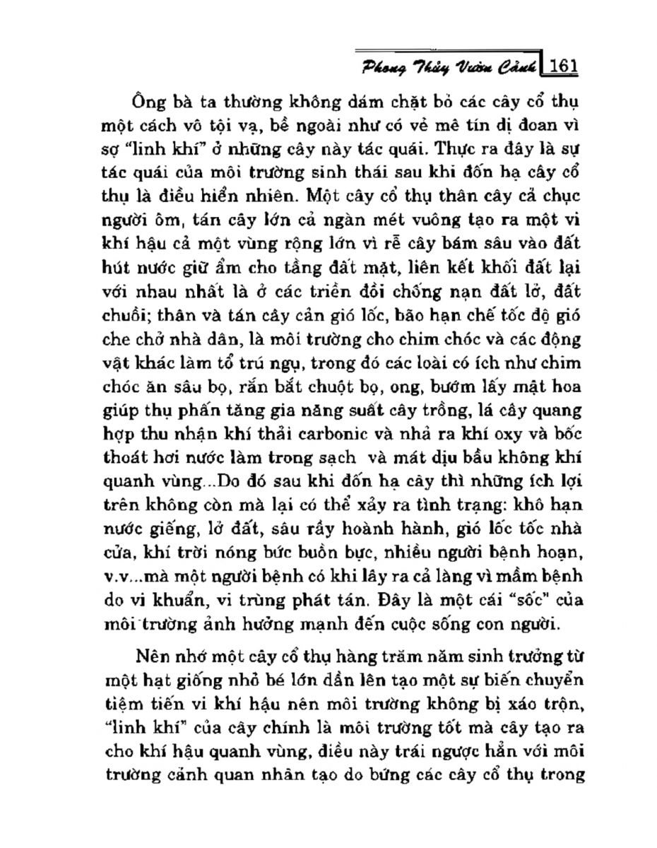 Phong Thủy Vườn Cảnh - 193