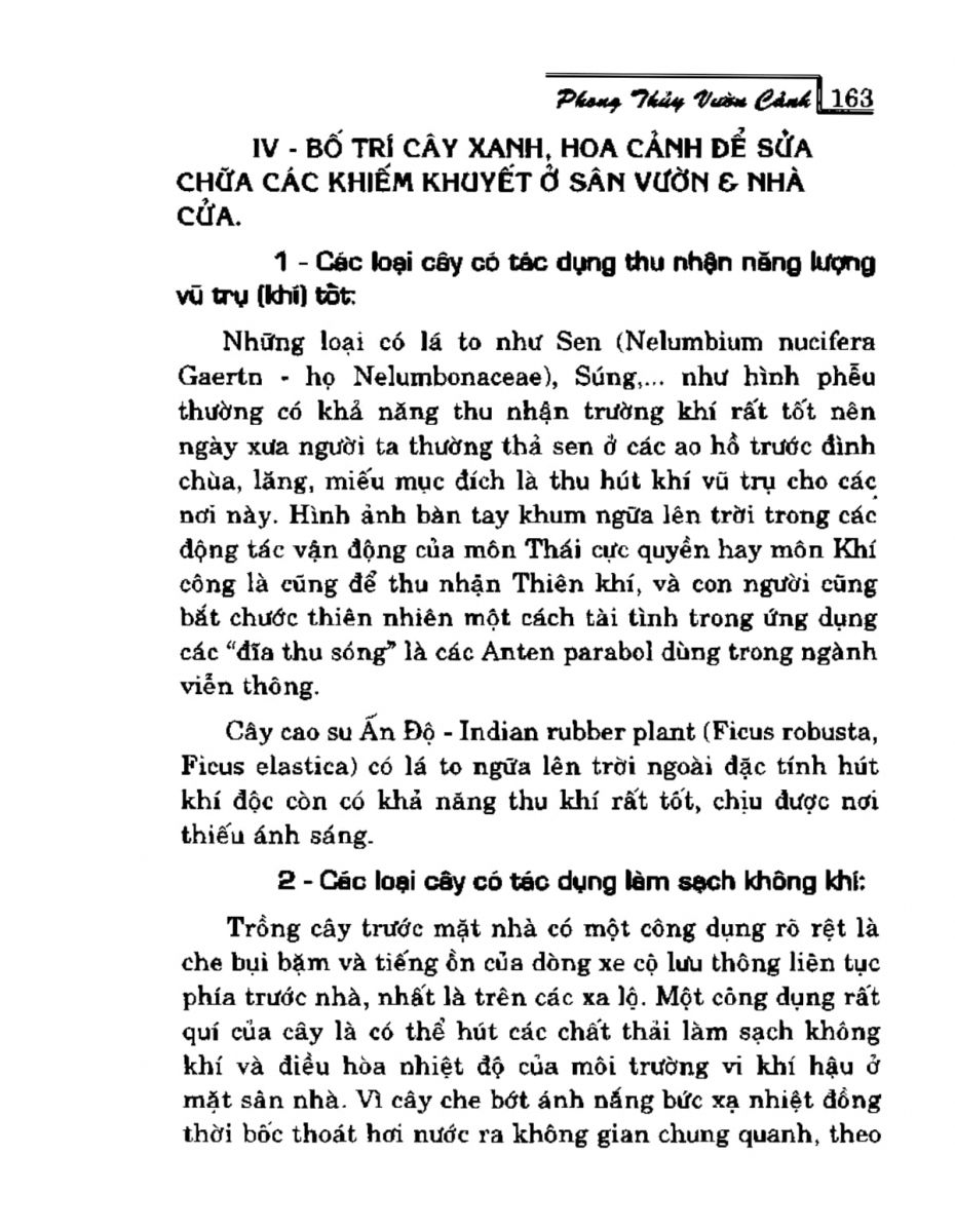 Phong Thủy Vườn Cảnh - 195
