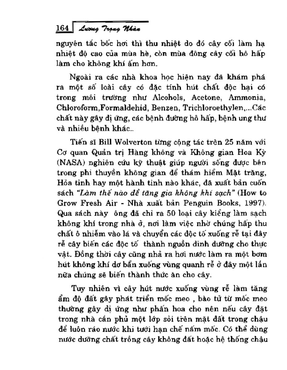 Phong Thủy Vườn Cảnh - 196