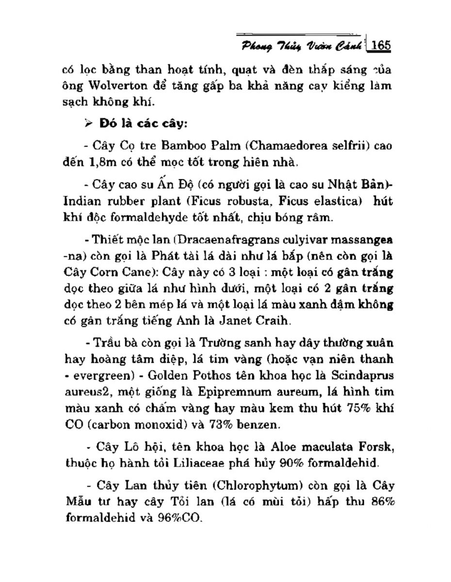 Phong Thủy Vườn Cảnh - 197