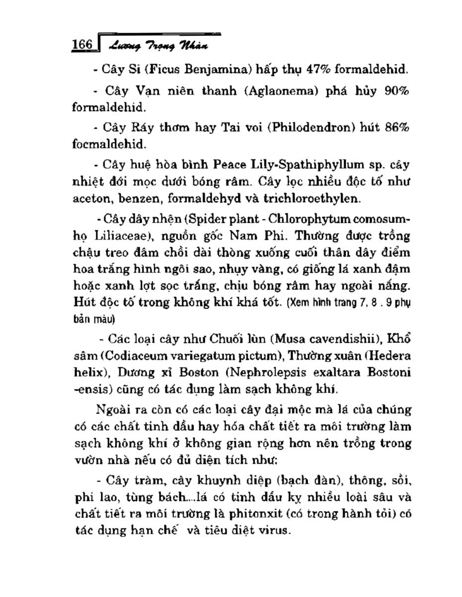 Phong Thủy Vườn Cảnh - 198