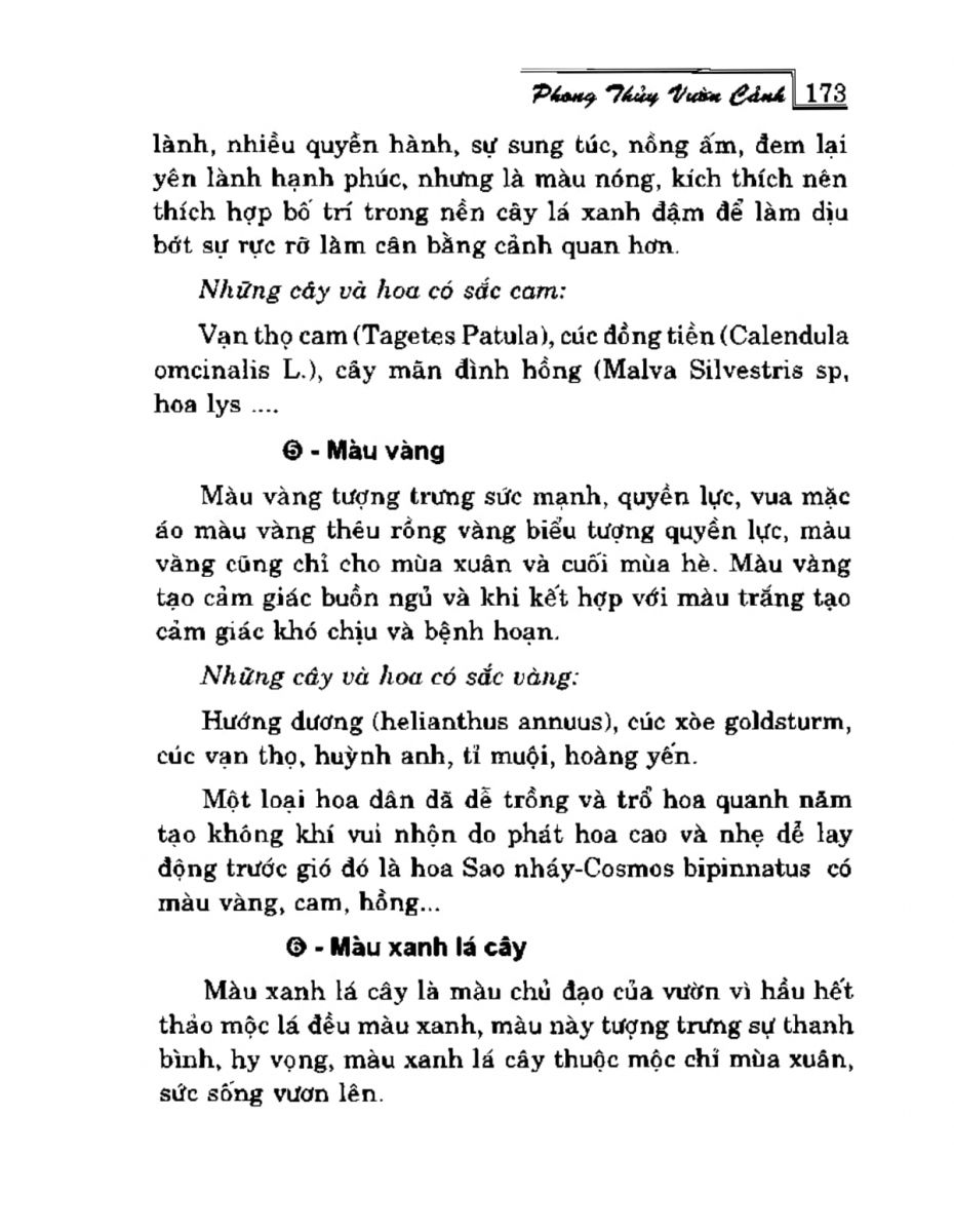 Phong Thủy Vườn Cảnh - 205