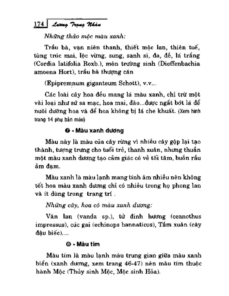 Phong Thủy Vườn Cảnh - 206