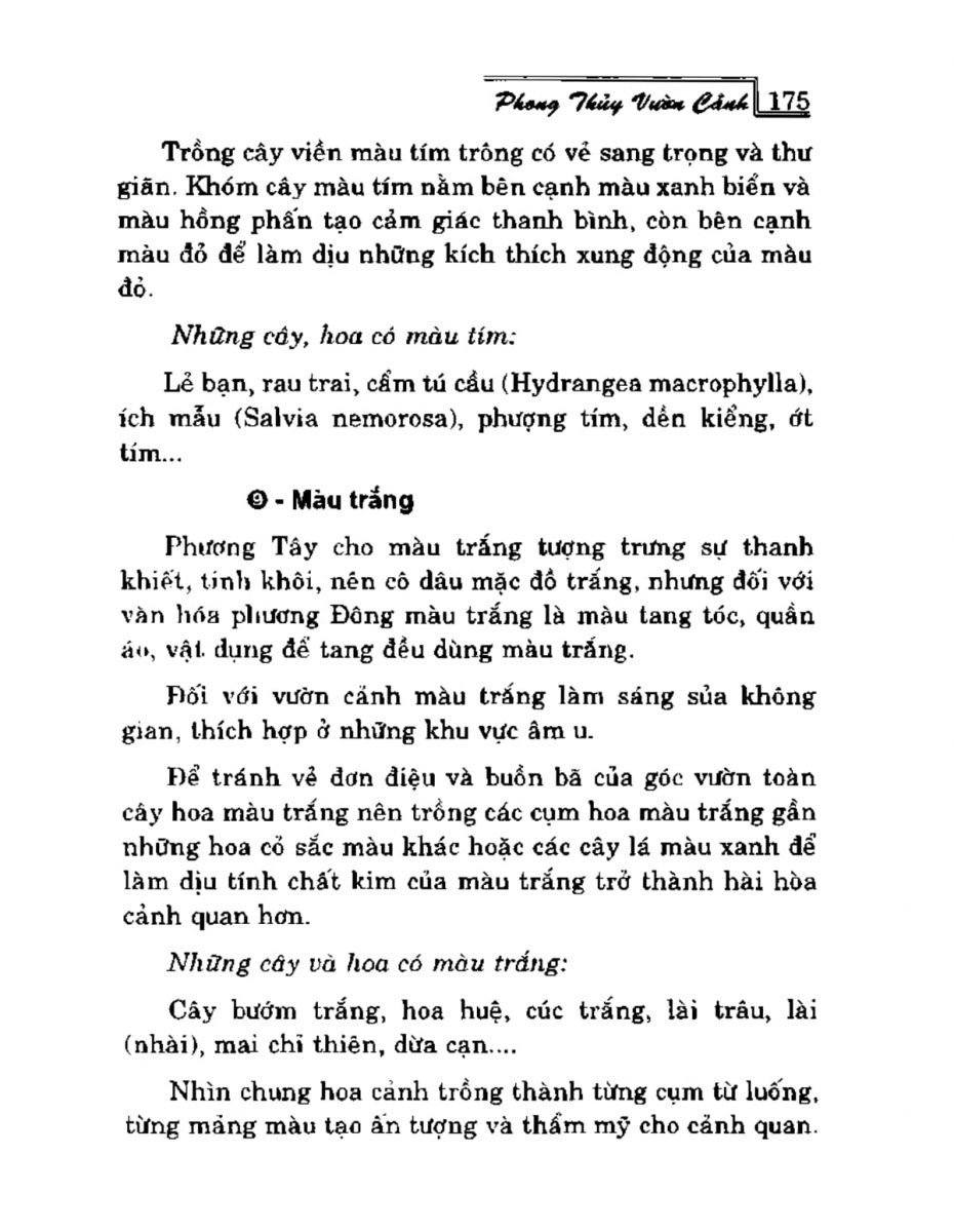 Phong Thủy Vườn Cảnh - 207