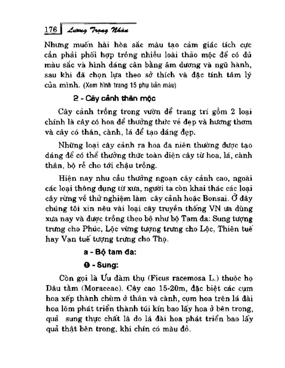 Phong Thủy Vườn Cảnh - 208