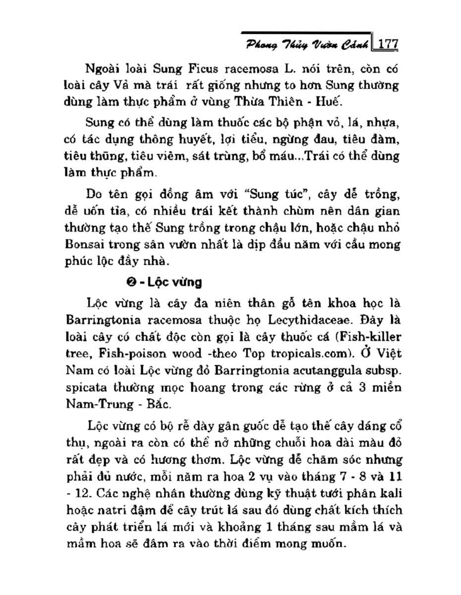 Phong Thủy Vườn Cảnh - 209