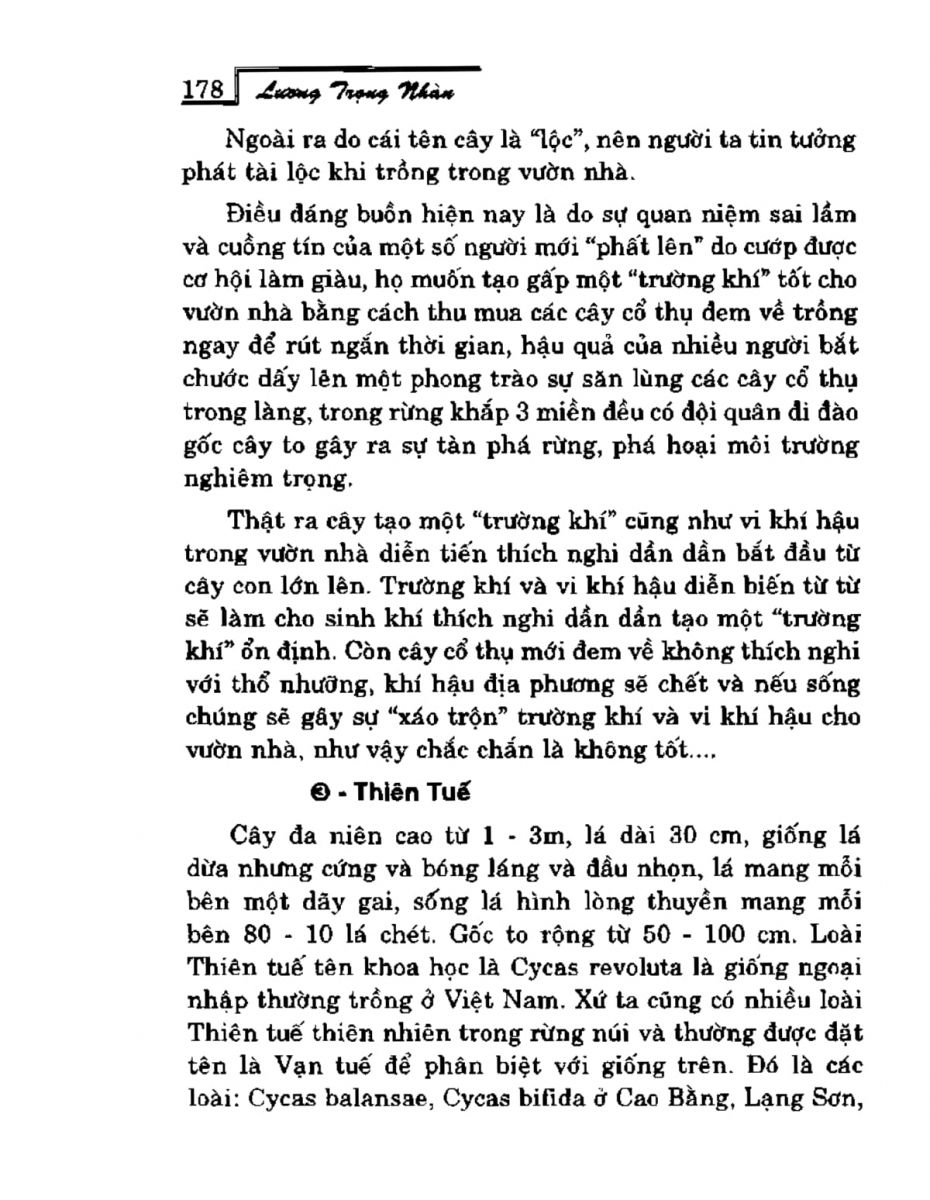 Phong Thủy Vườn Cảnh - 210