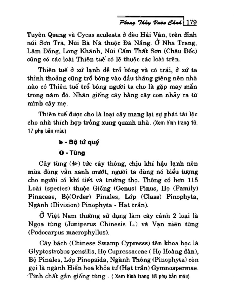 Phong Thủy Vườn Cảnh - 211