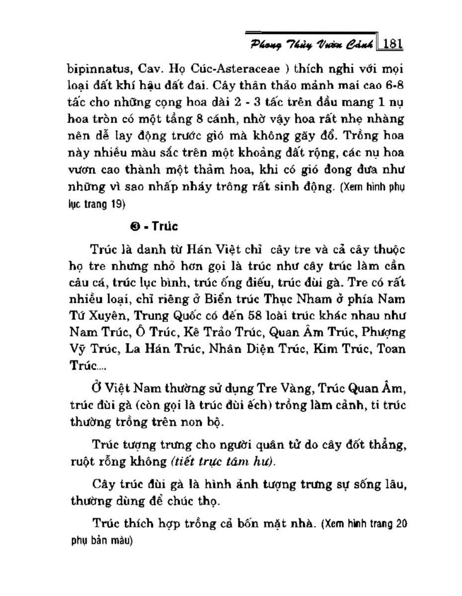 Phong Thủy Vườn Cảnh - 213