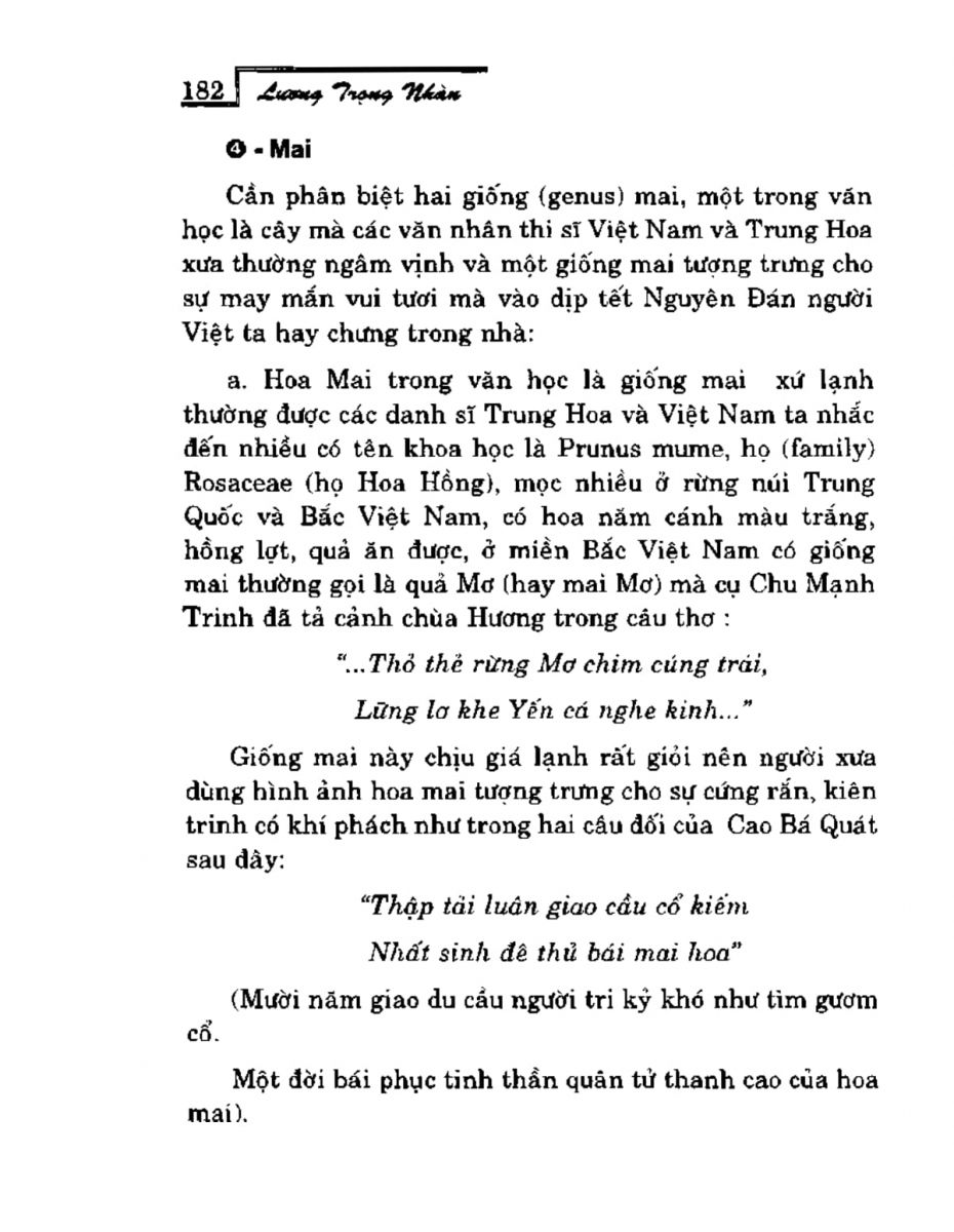 Phong Thủy Vườn Cảnh - 214