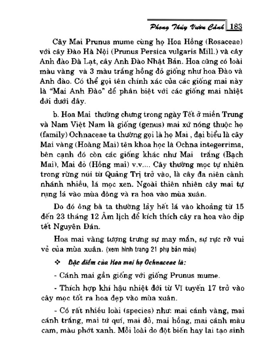 Phong Thủy Vườn Cảnh - 215