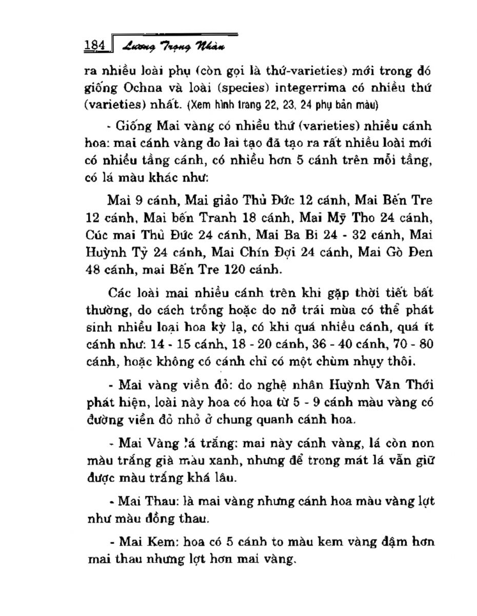 Phong Thủy Vườn Cảnh - 216