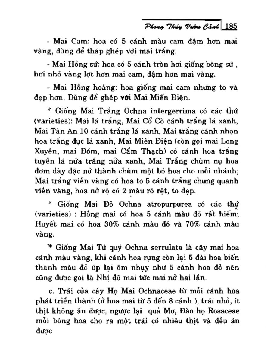 Phong Thủy Vườn Cảnh - 217