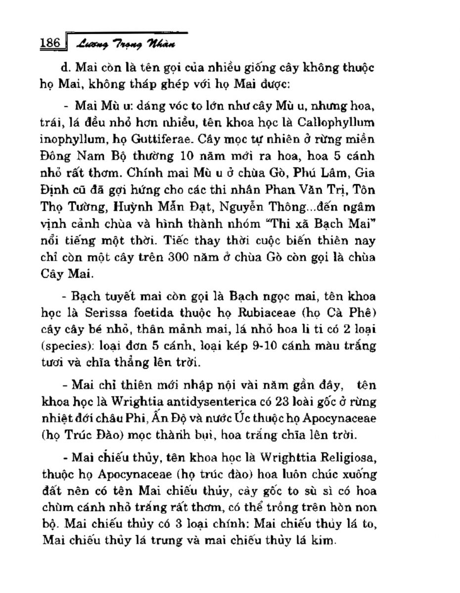 Phong Thủy Vườn Cảnh - 218