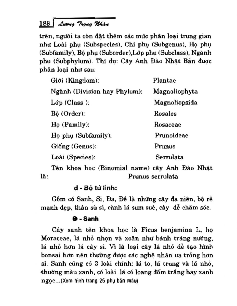 Phong Thủy Vườn Cảnh - 220