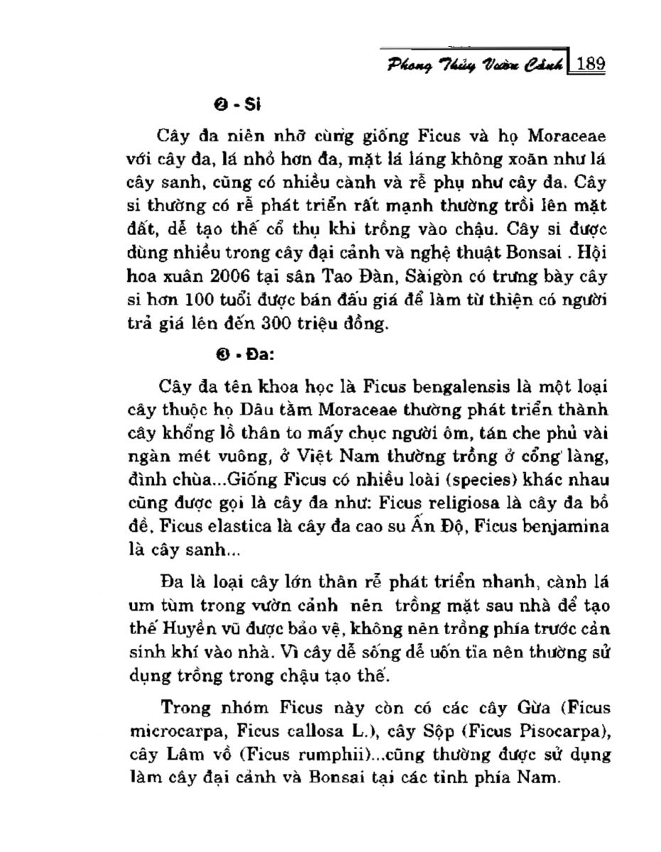 Phong Thủy Vườn Cảnh - 221