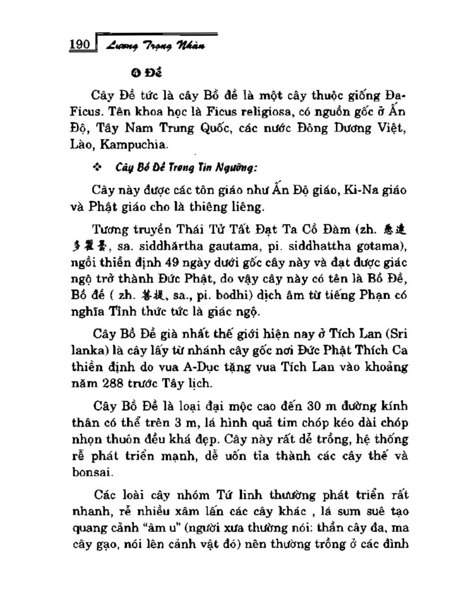 Phong Thủy Vườn Cảnh - 222