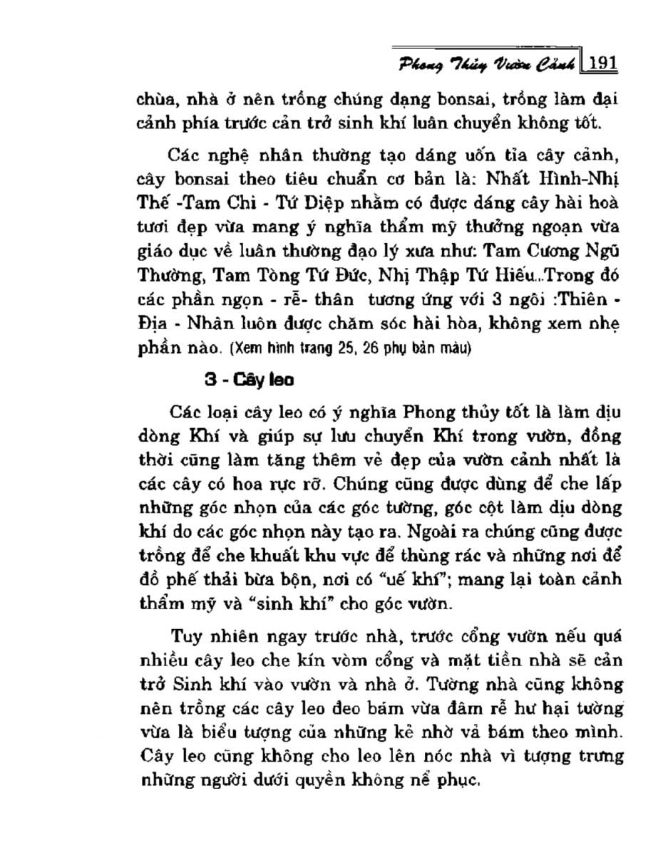 Phong Thủy Vườn Cảnh - 223