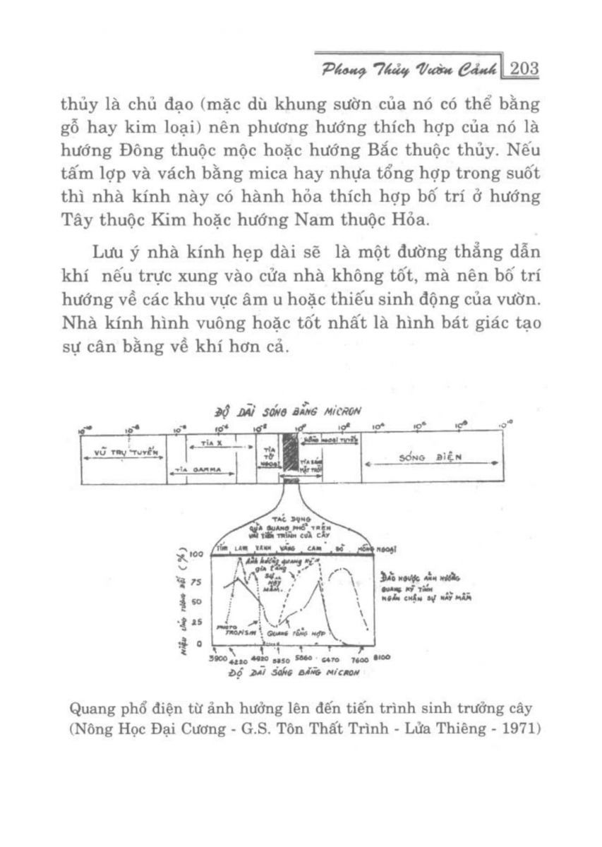 Phong Thủy Vườn Cảnh - 235