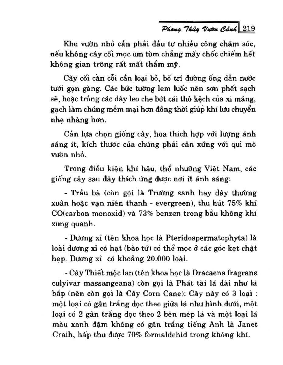 Phong Thủy Vườn Cảnh - 251