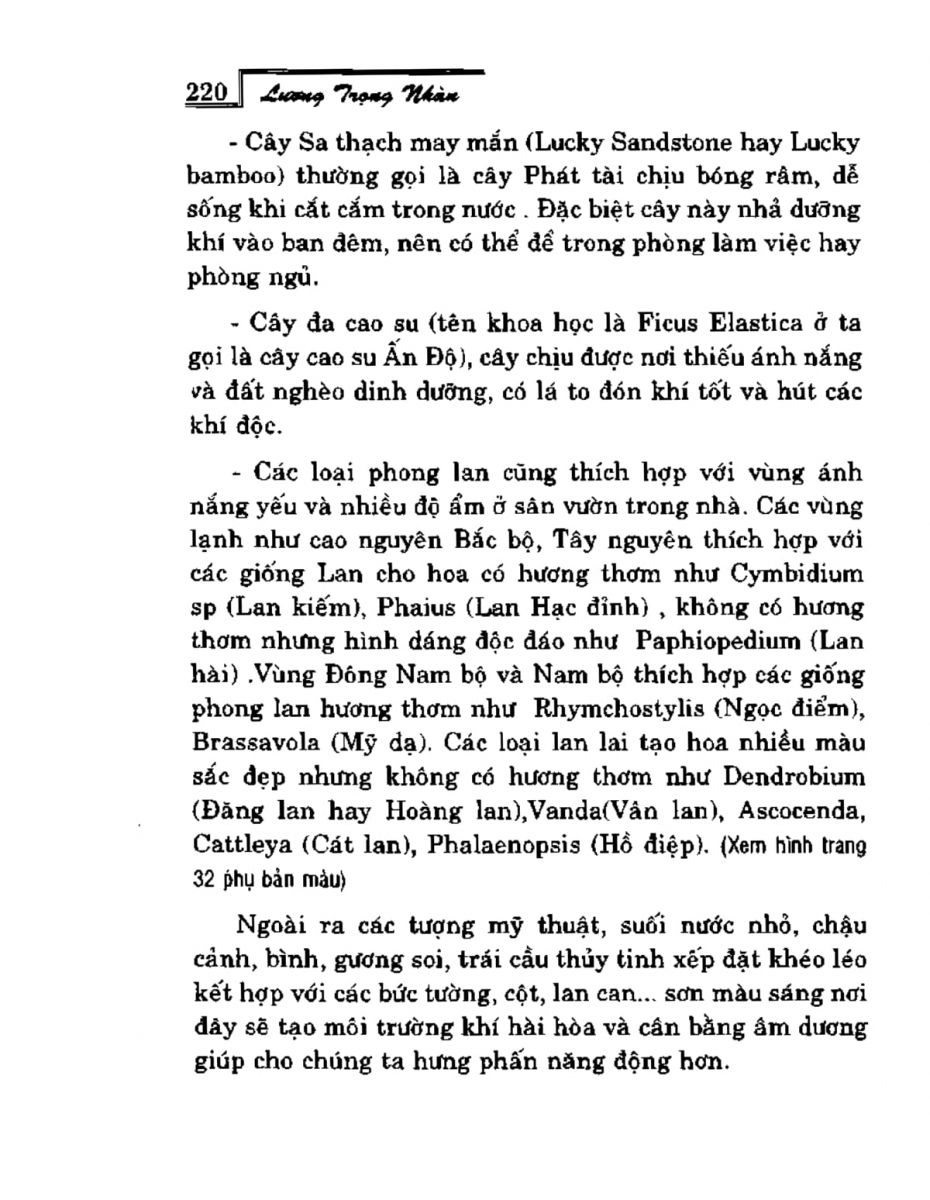 Phong Thủy Vườn Cảnh - 252