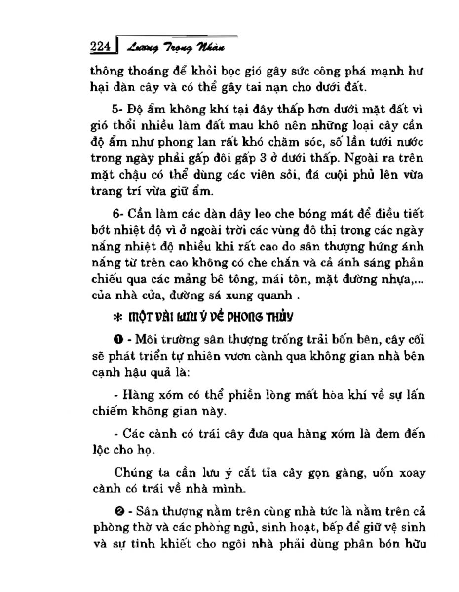 Phong Thủy Vườn Cảnh - 256