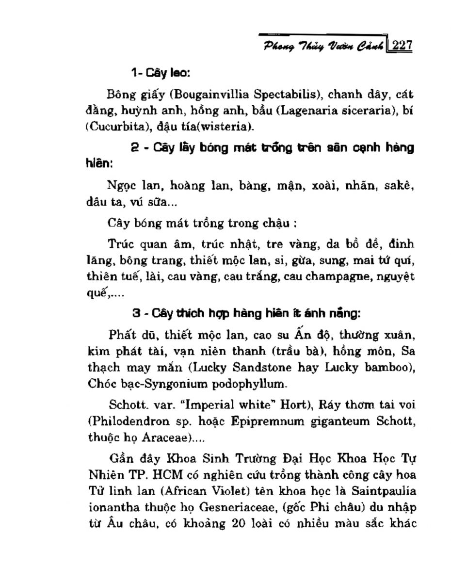 Phong Thủy Vườn Cảnh - 259