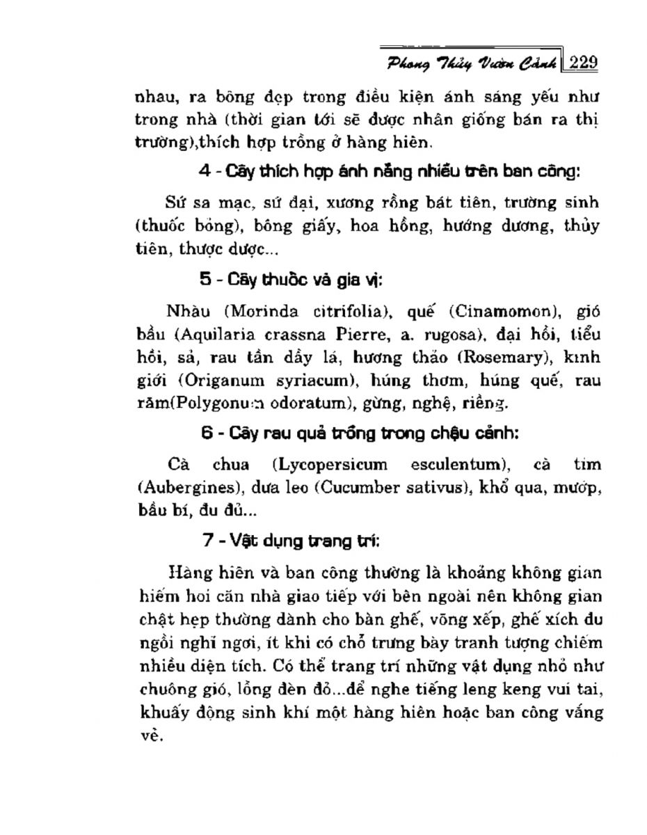 Phong Thủy Vườn Cảnh - 261