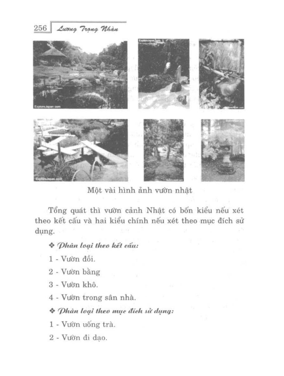 Phong Thủy Vườn Cảnh - 288