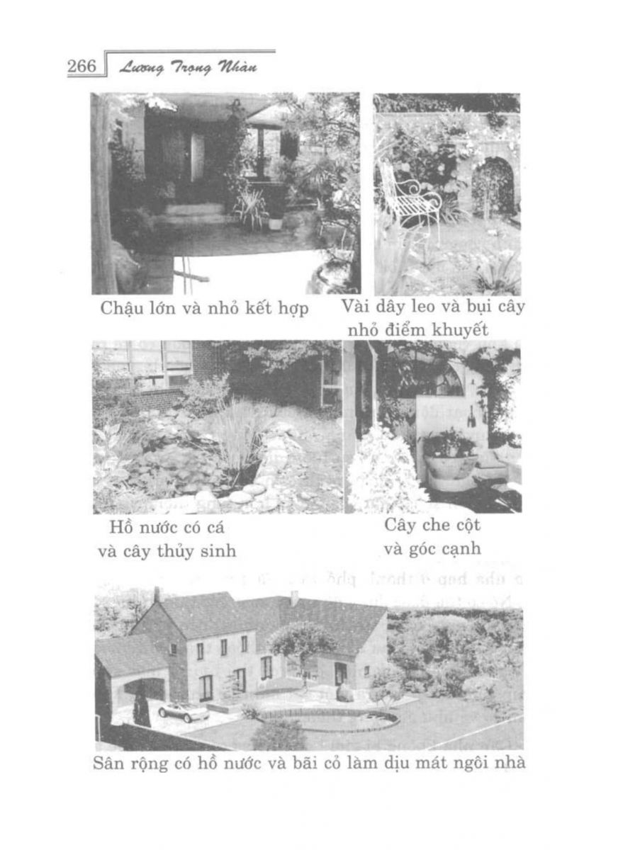 Phong Thủy Vườn Cảnh - 298