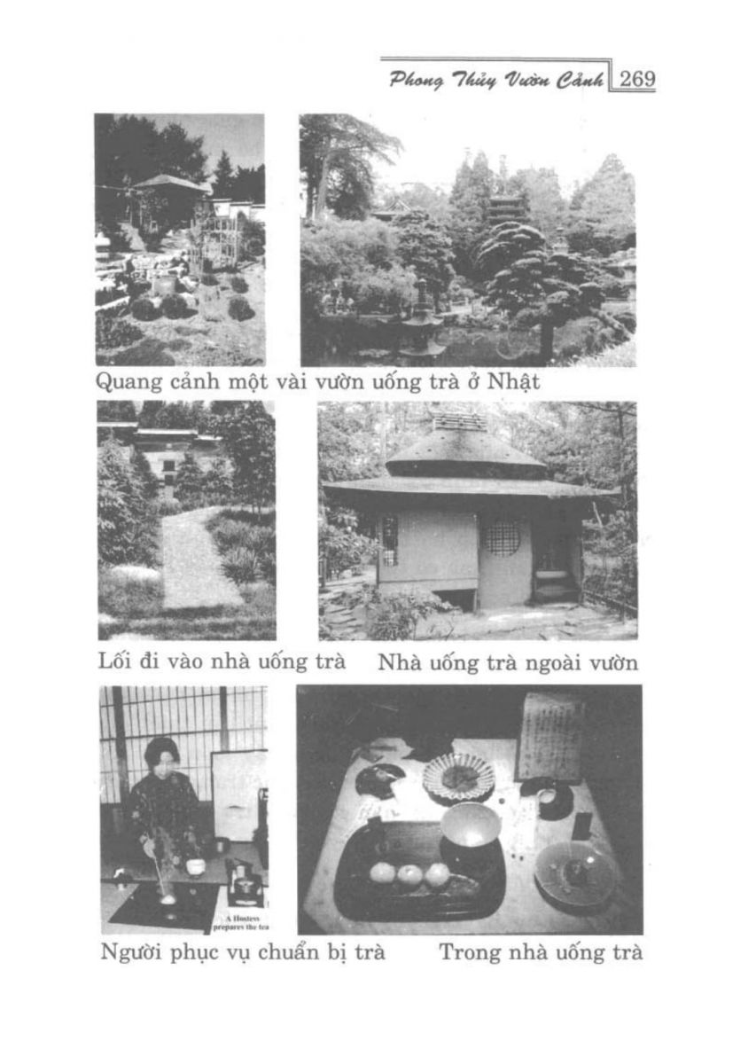 Phong Thủy Vườn Cảnh - 301