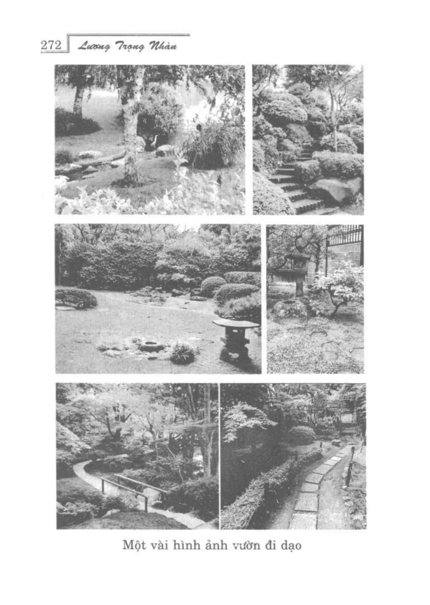 Phong Thủy Vườn Cảnh - 304