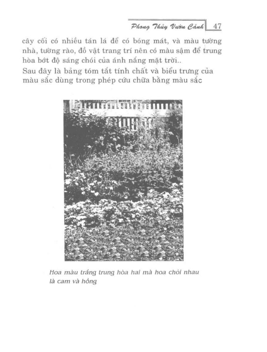 Phong Thủy Vườn Cảnh - 46