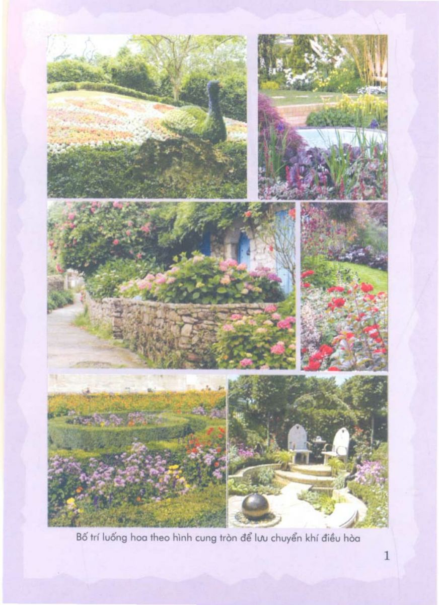 Phong Thủy Vườn Cảnh - 64