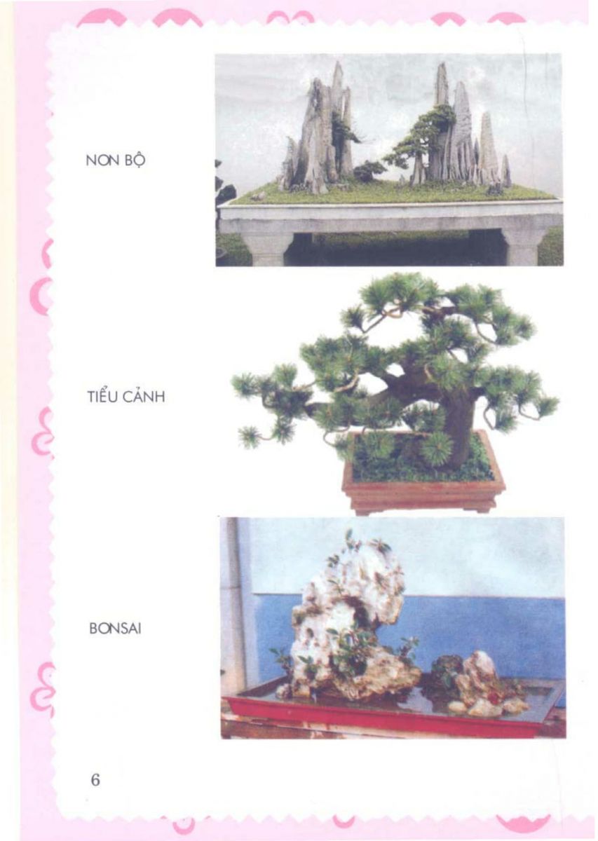 Phong Thủy Vườn Cảnh - 69