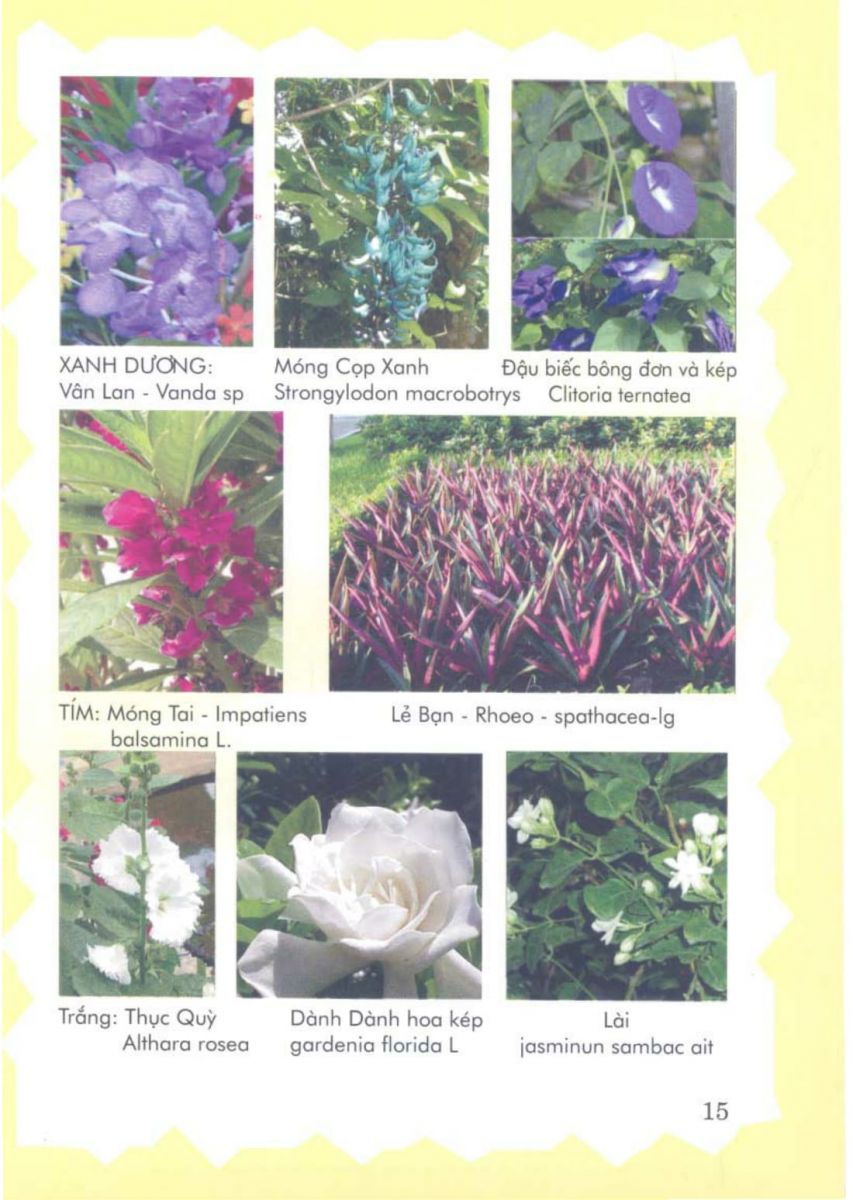 Phong Thủy Vườn Cảnh - 78