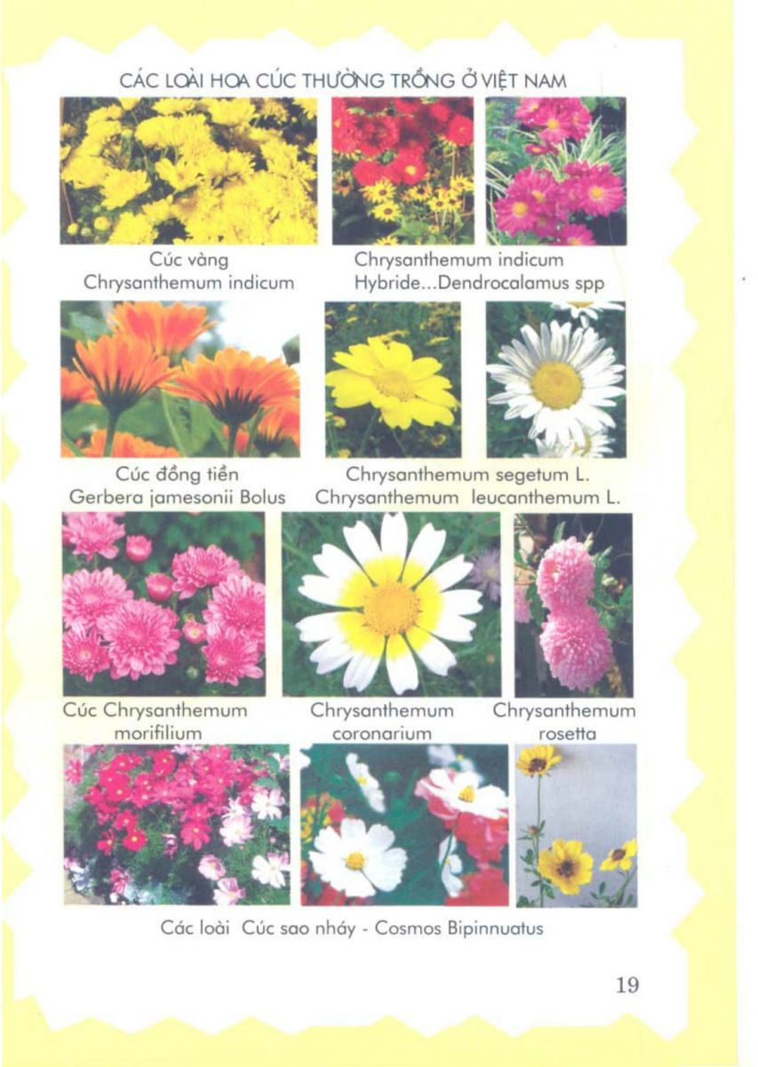 Phong Thủy Vườn Cảnh - 82